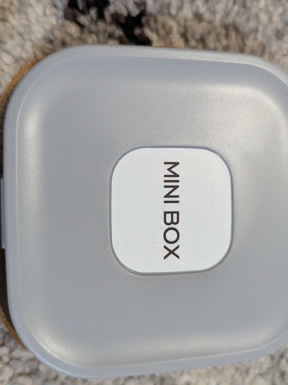 MINI BOX Compact Storage Case in Light Gray
